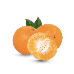 Fresh Orange